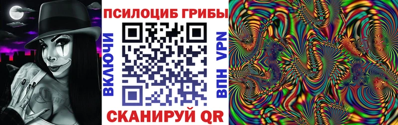 купить наркоту  Саратов  Псилоцибиновые грибы Psilocybine cubensis 